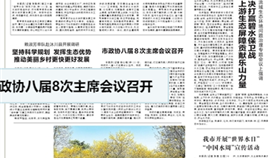 樂(lè)山日?qǐng)?bào)3月23日?qǐng)?bào)道：《推動(dòng)“做鋼鐵”向“做材料”轉(zhuǎn)變，德勝釩鈦——轉(zhuǎn)型升級(jí)邁向高端》