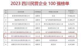 連續(xù)六年！德勝集團(tuán)上榜“四川民營企業(yè)100強(qiáng)”
